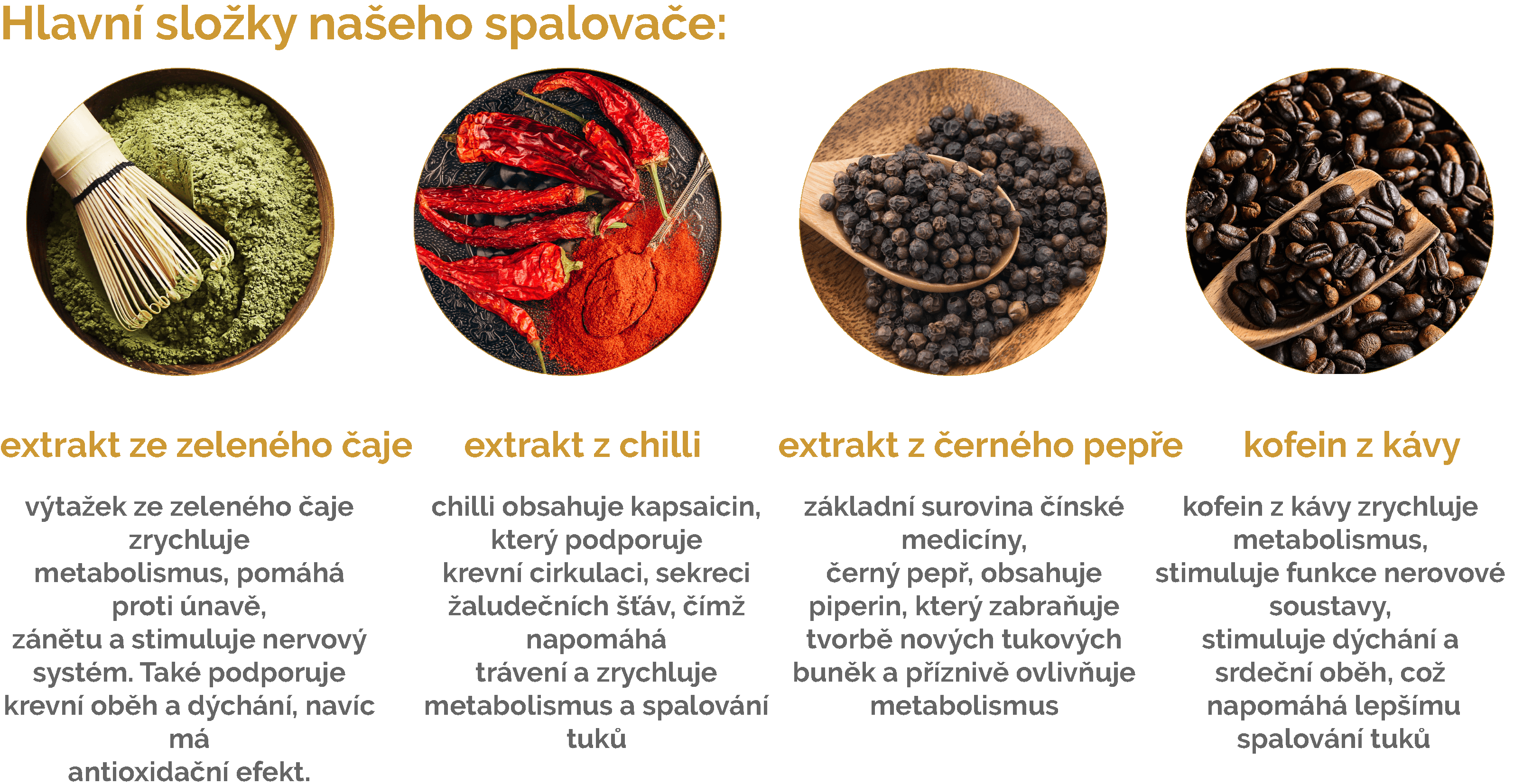 Spalovac-co-v-nem-hledat-2-vyziva-proteinaco